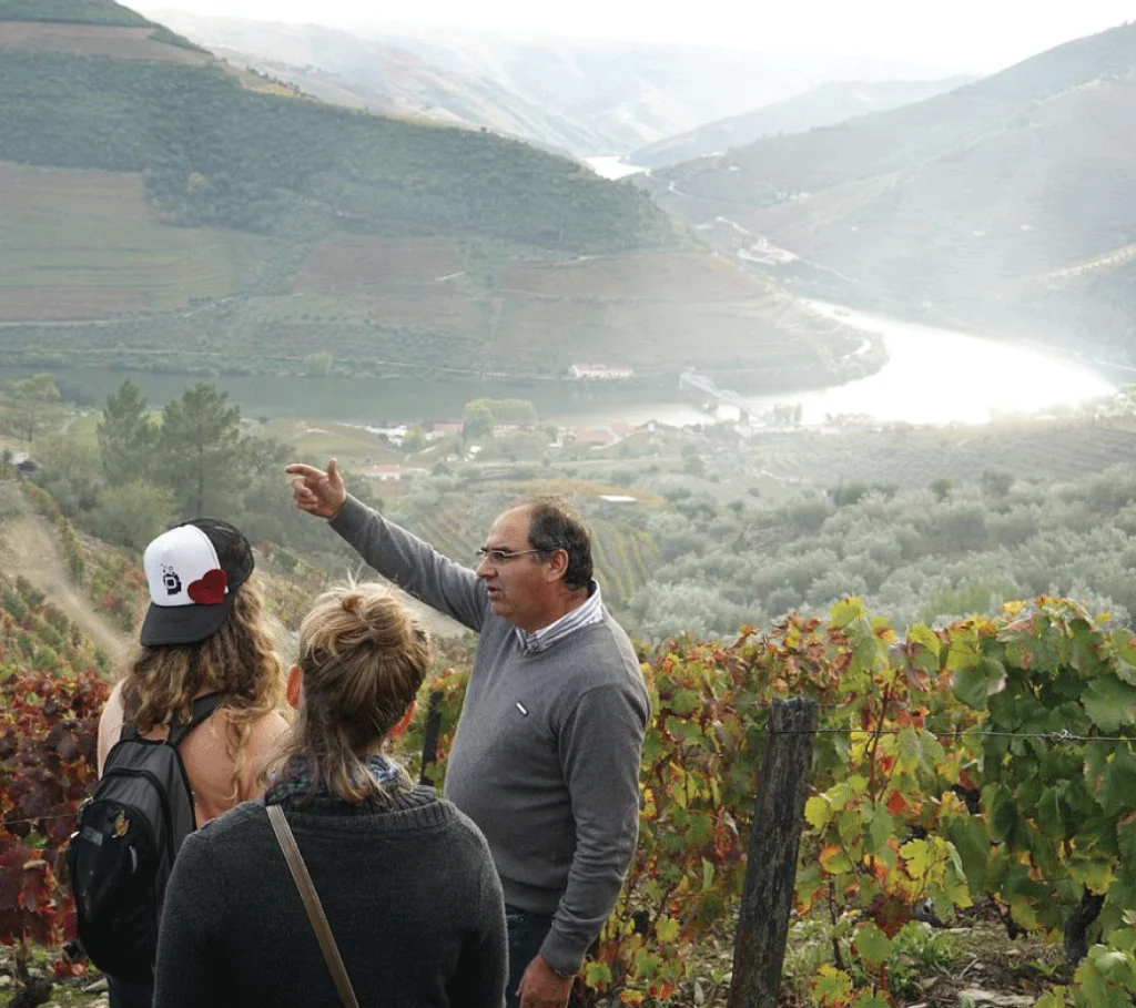 Jalloto Wine Tours