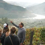 Jalloto Wine Tours